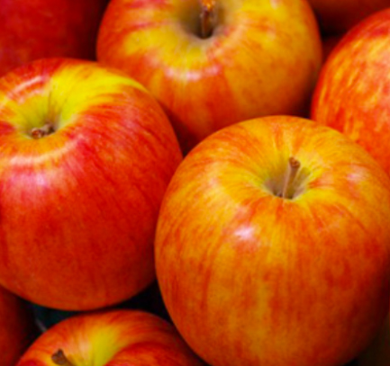 �o���N�I��(BULK HOMME)�͏���T�O�O�~����I